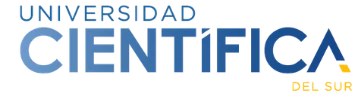 Universidad Científica del Sur
